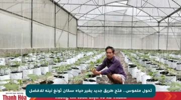 تحول ملموس.. فتح طريق جديد يغير حياة سكان ثونغ نينه للأفضل